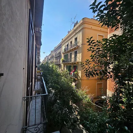 And Basic Universitat For Young