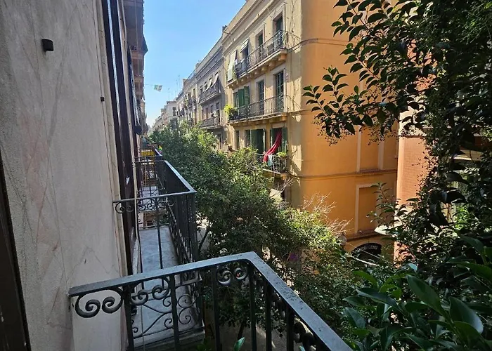 Pensión And Basic Universitat For Young